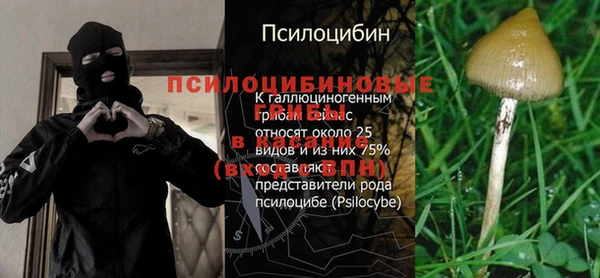 винт Корсаков